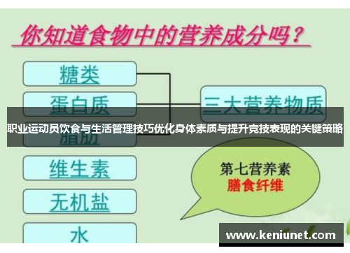 职业运动员饮食与生活管理技巧优化身体素质与提升竞技表现的关键策略